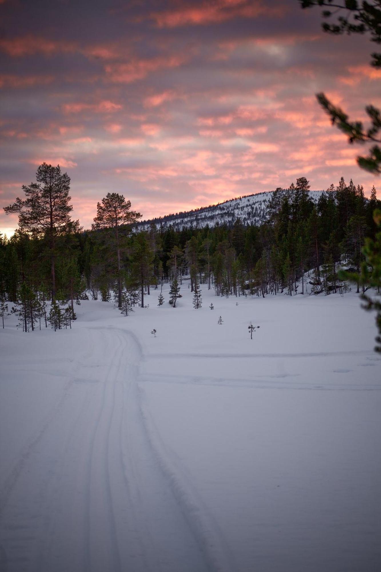 Crow Creek Cabins Inari Buitenkant foto